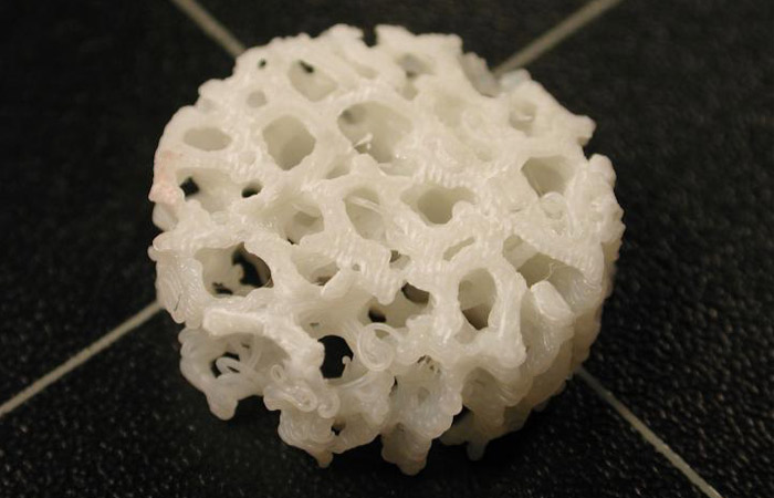 bioimpresora 3D