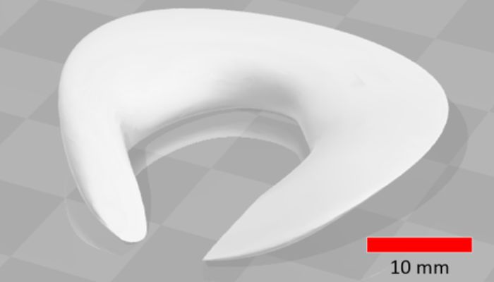 bio-impression 3D