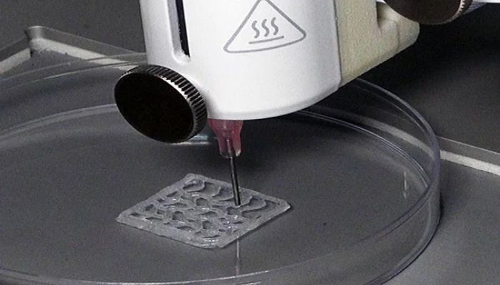 bio-impression 3D
