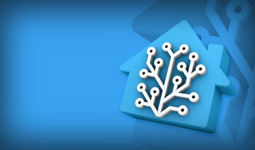 home assistant